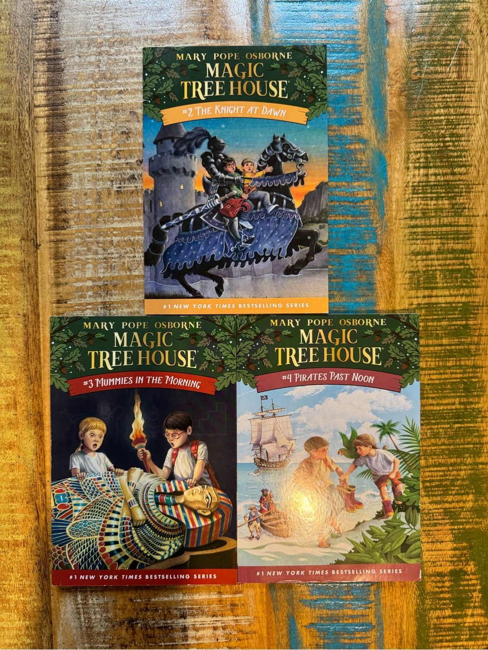 Magic Tree House books #2,3,4